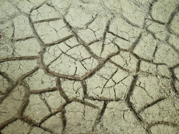 Voda na popraskané suché půdy  — Stock fotografie